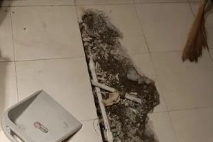 陇西卫生间漏水检测电话